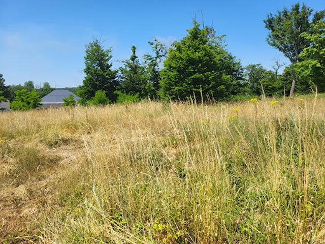 Vente Terrain 622 m2 Cellettes