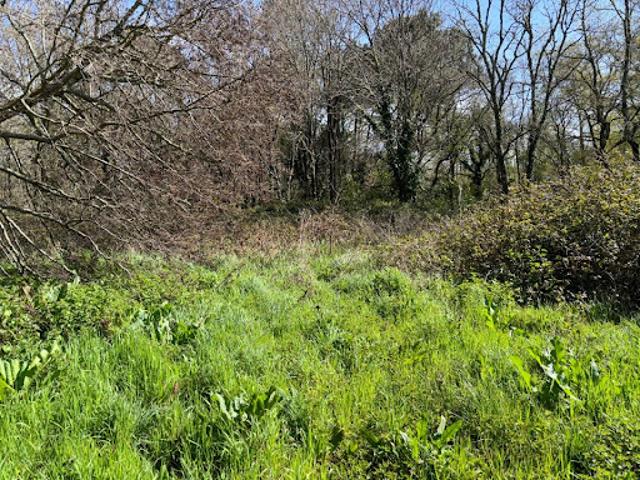 Vente Terrain 625 m2 Andernos les Bains