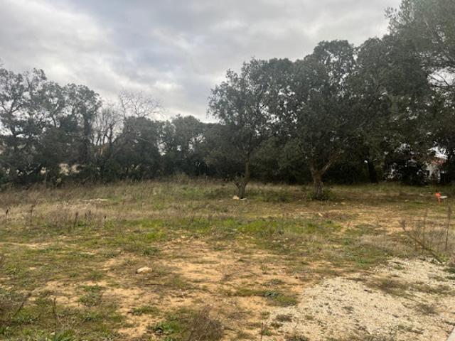 Vente Terrain 625 m2 Bollene