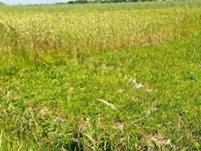 Vente Terrain 625 m2 Bretx