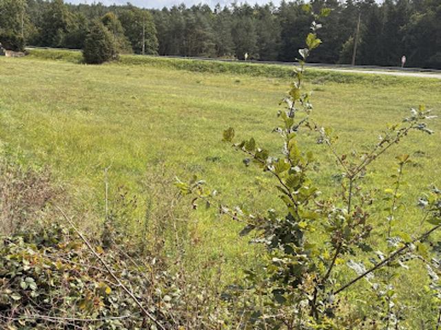 Vente Terrain 6263 m2 Reyersviller