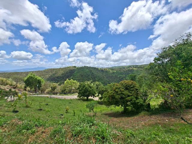 Vente Terrain 626 m2 Sainte luce