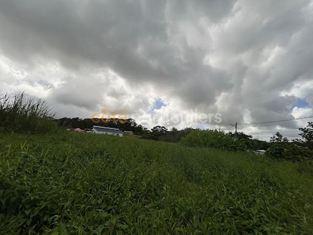 Vente Terrain 633 m2 Petit bourg