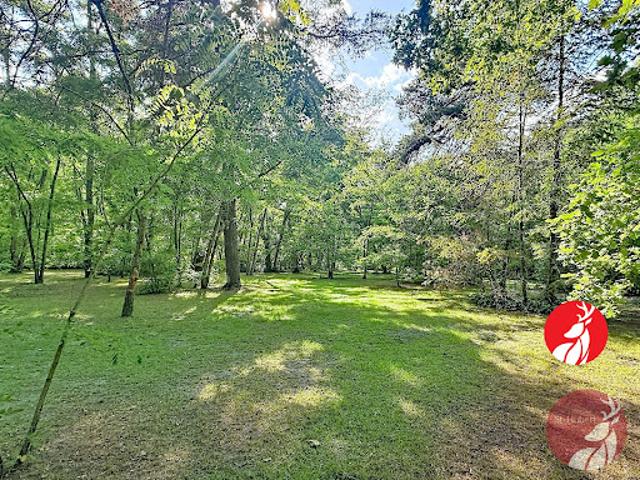Vente Terrain 6300 m2 Milly la Forêt
