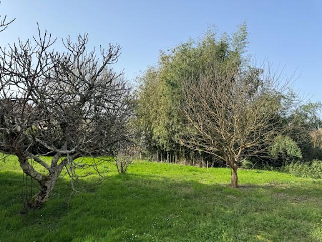 Vente Terrain 630 m2 Andernos les Bains