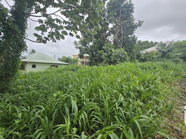 Vente Terrain 630 m2 Le lamentin