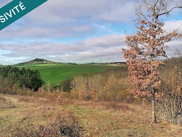 Vente Terrain 63112 m2 Diénay