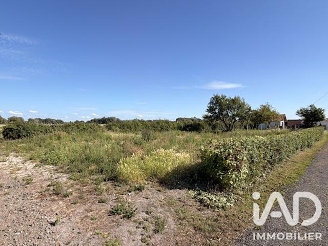 Vente Terrain 631 m2 Looberghe