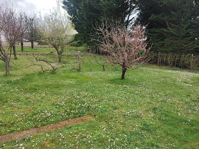 Vente Terrain 634 m2 Azay le Rideau