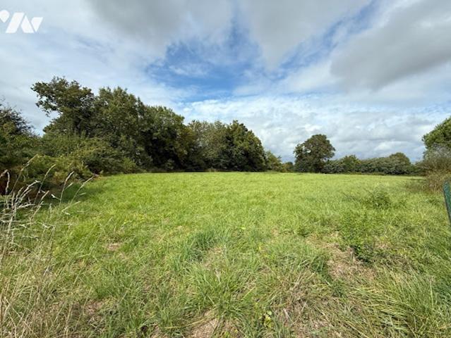 Vente Terrain 6359 m2 La Trinité Surzur