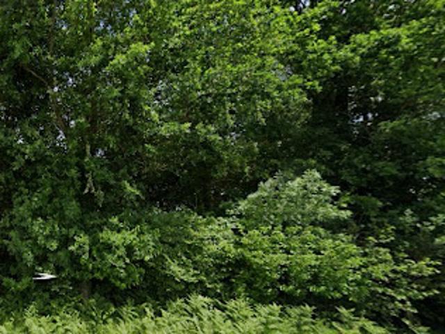Vente Terrain 6381 m2 Corme Royal