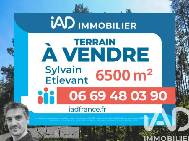 Vente Terrain 6 500 m²