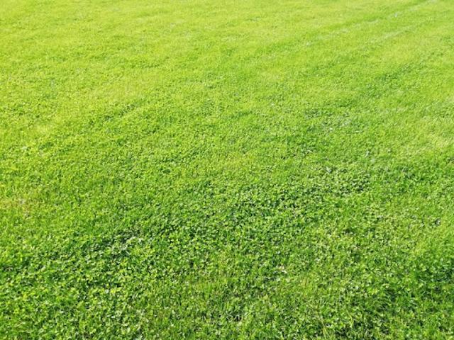 Vente Terrain 743 m2 Erquy