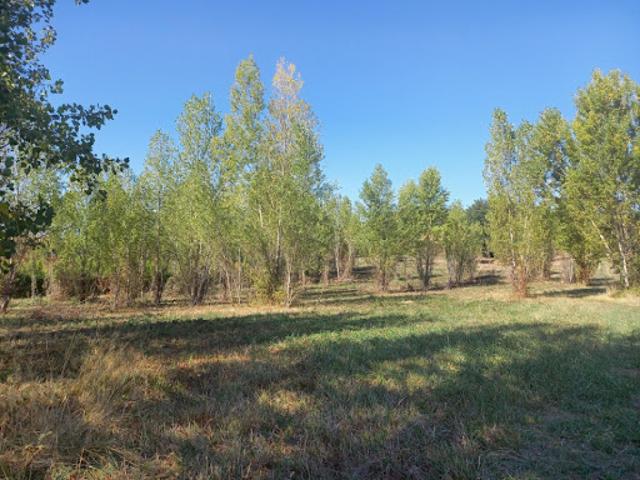 Vente Terrain 742 m2 Mézens