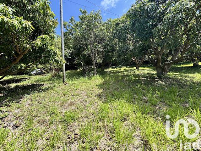 Vente Terrain 747 m2 Saint Pierre