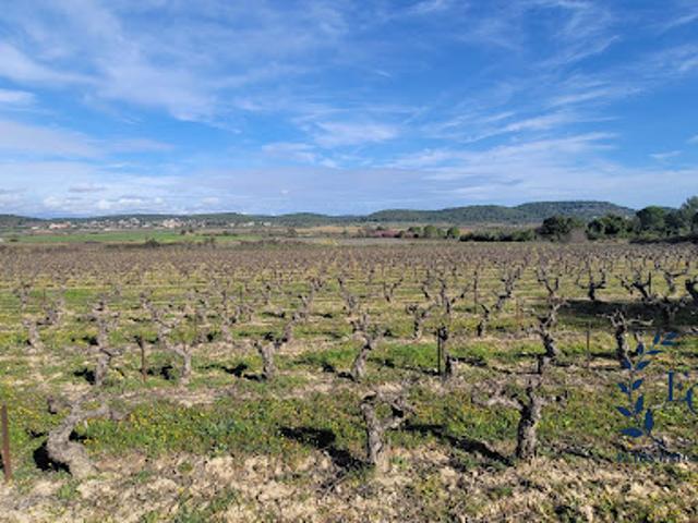 Vente Terrain 74600 m2 Congénies