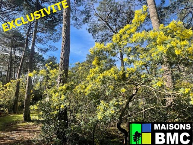 Vente Terrain 753 m2 Lacanau