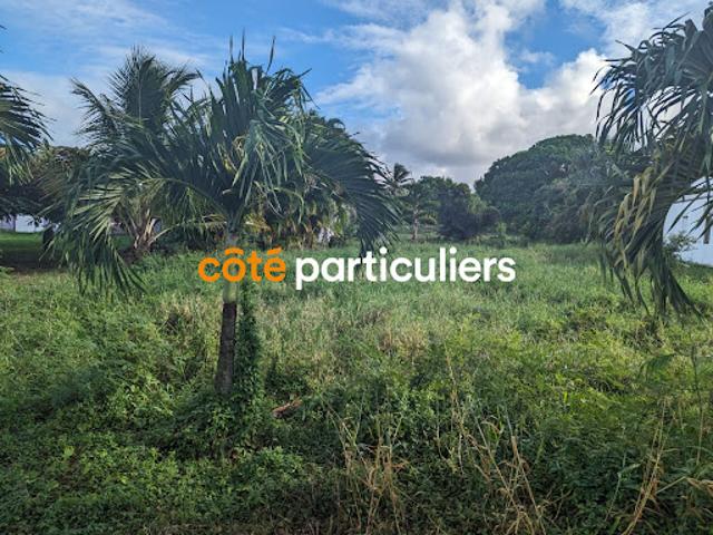 Vente Terrain 753 m2 Saint François