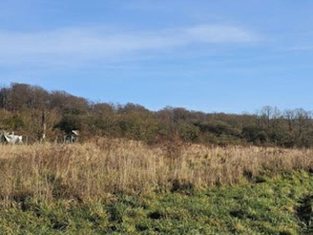 Vente Terrain 750 m2 Dampleux