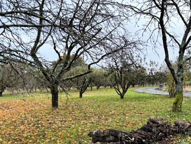 Vente Terrain 750 m2 La Roche Posay