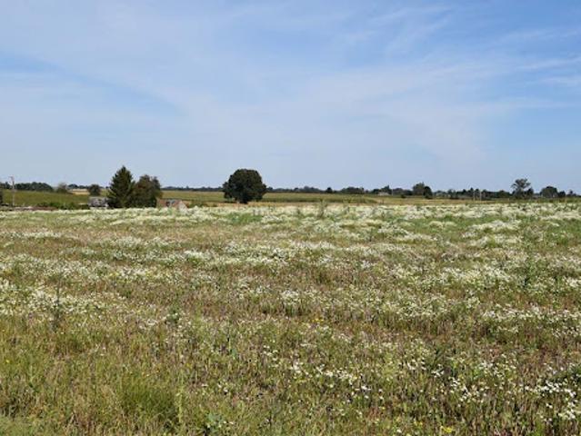 Vente Terrain 750 m2 Le Mesnil sous Jumièges