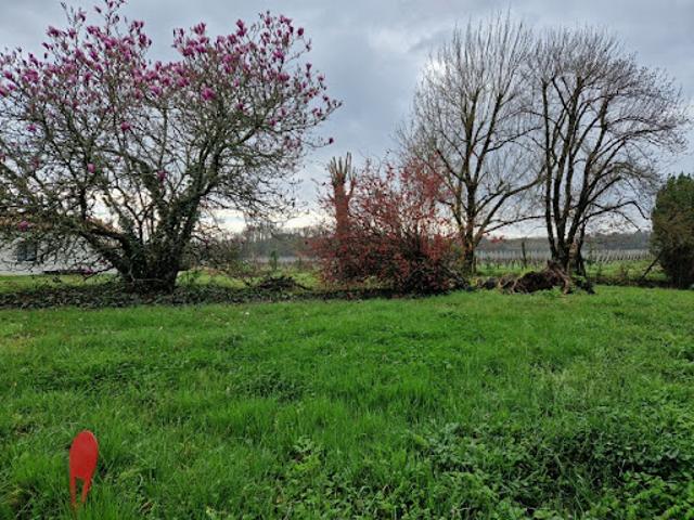 Vente Terrain 750 m2 Montussan
