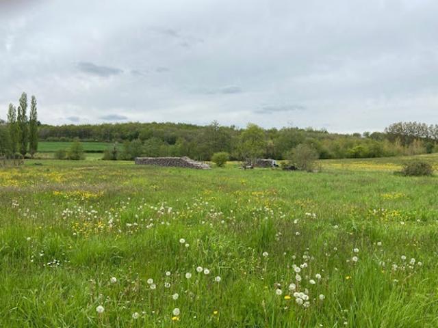 Vente Terrain 750 m2 Pichanges