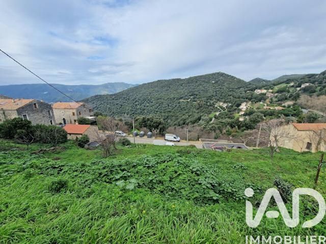 Vente Terrain 750 m2 Sollacaro