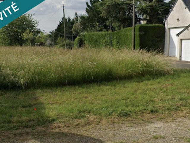 Vente Terrain 754 m2 Coteaux sur Loire