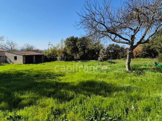 Vente Terrain 754 m2 Massanes