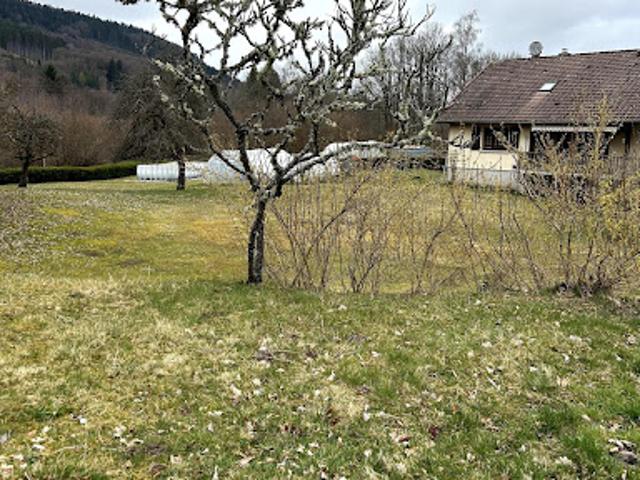 Vente Terrain 755 m2 Granges Aumontzey