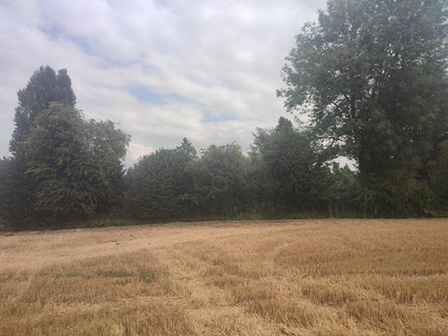 Vente Terrain 758 m2 Seraincourt
