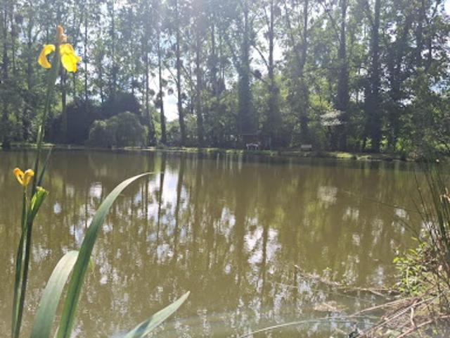 Vente Terrain 7595 m2 Marcillé Raoul