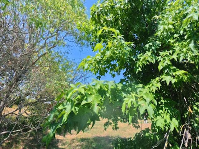 Vente Terrain 759 m2 Chasselay