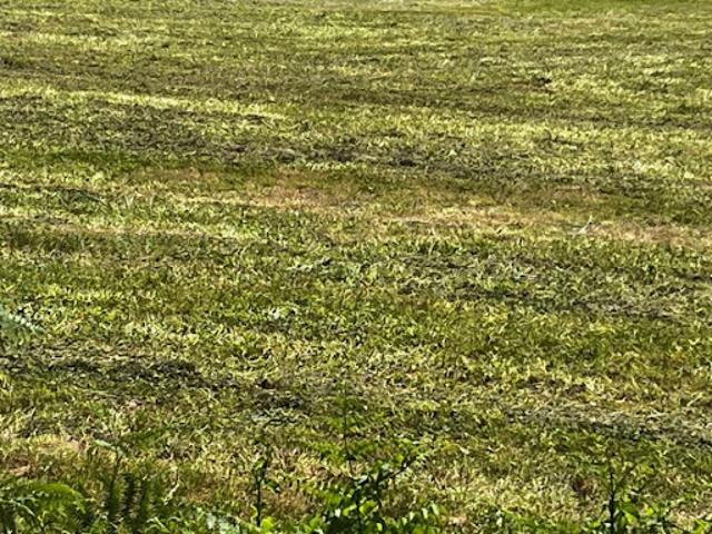 Vente Terrain 760 m2 Cognac