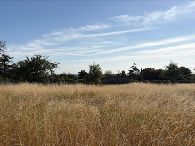Vente Terrain 760 m2 Cognac