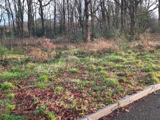 Vente Terrain 760 m2 Lège Cap Ferret
