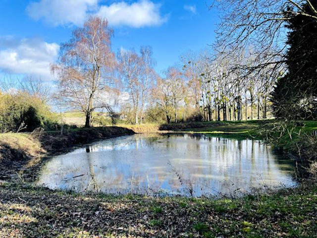 Vente Terrain 7650 m2 Vou