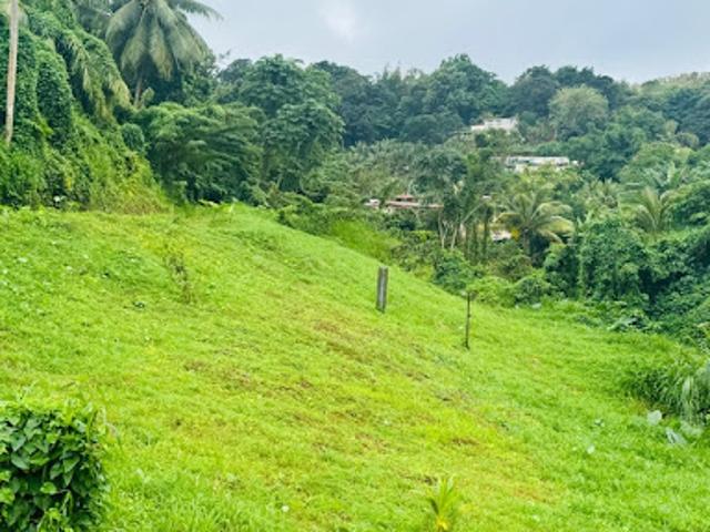 Vente Terrain 765 m2 Sainte Marie