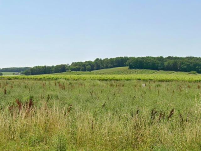 Vente Terrain 771 m2 Flaugeac