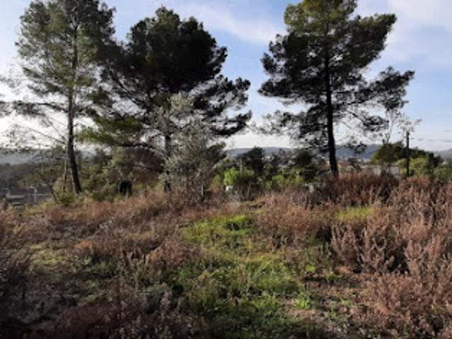 Vente Terrain 774 m2 Draguignan