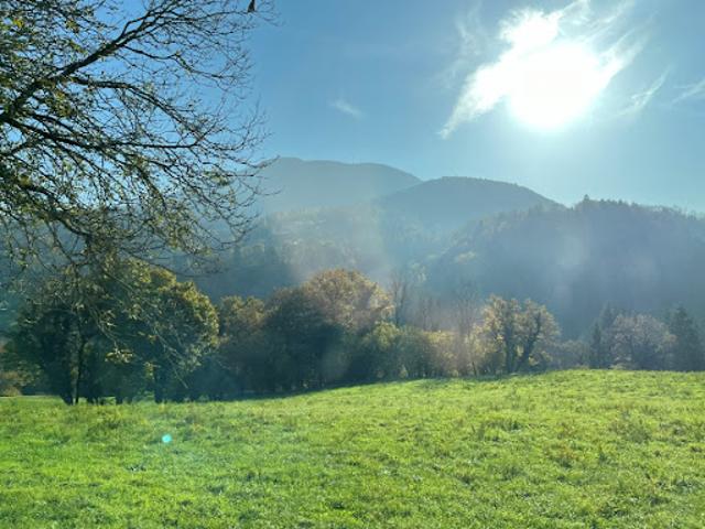 Vente Terrain 776 m2 Nâves Parmelan