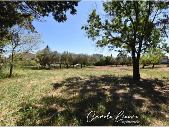 Vente Terrain 779 m2 Usclas d'Hérault