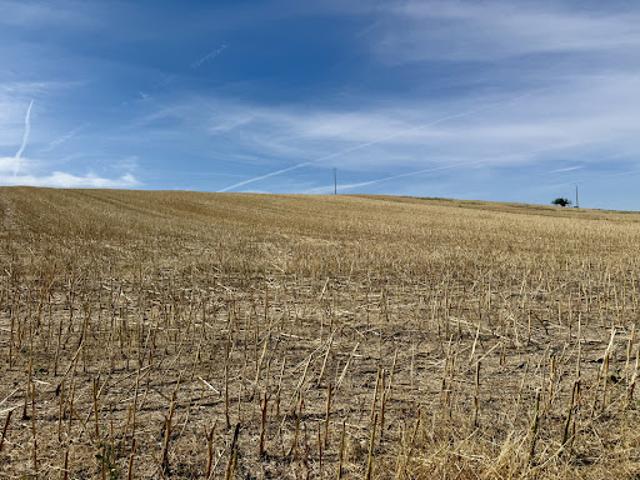 Vente Terrain 7800 m2 Lirey
