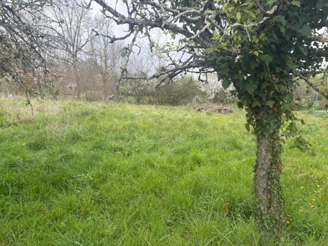 Vente Terrain 780 m2 Bessières
