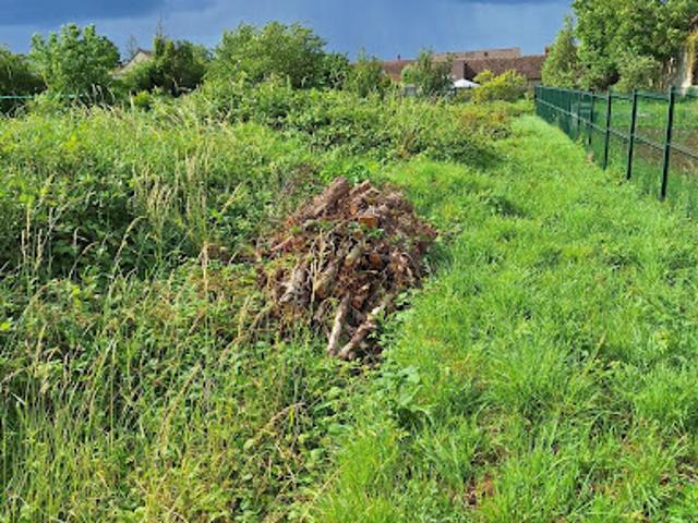 Vente Terrain 780 m2 Esmans