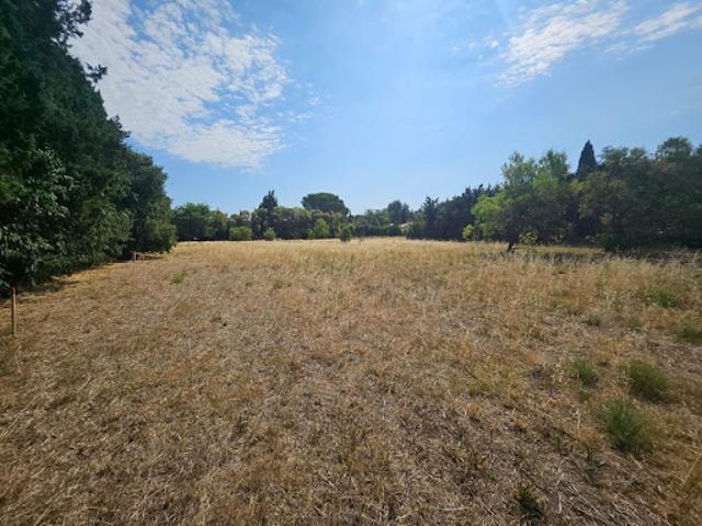 Vente Terrain 780 m2 Fontvieille