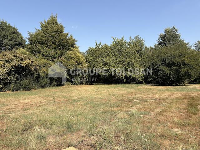 Vente Terrain 780 m2 Montauban