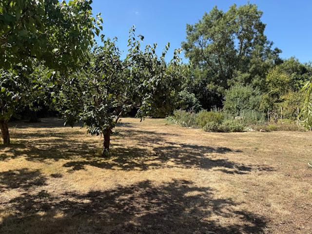 Vente Terrain 780 m2 Saint laurent de la pree