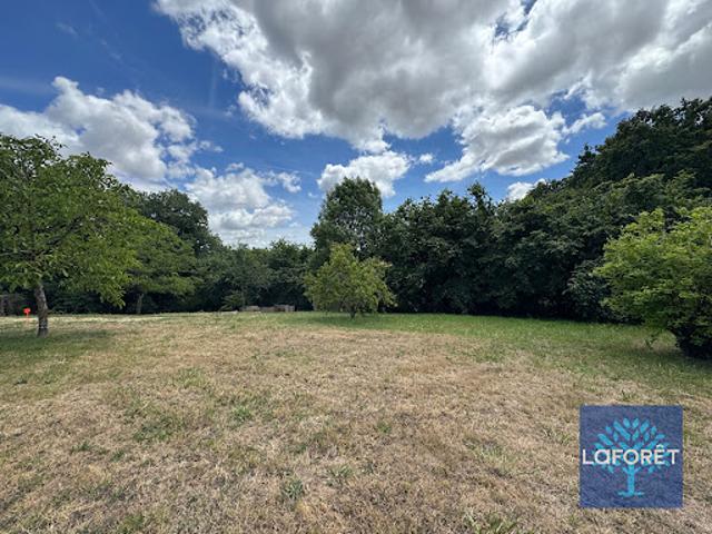 Vente Terrain 787 m2 Rives de l'Yon